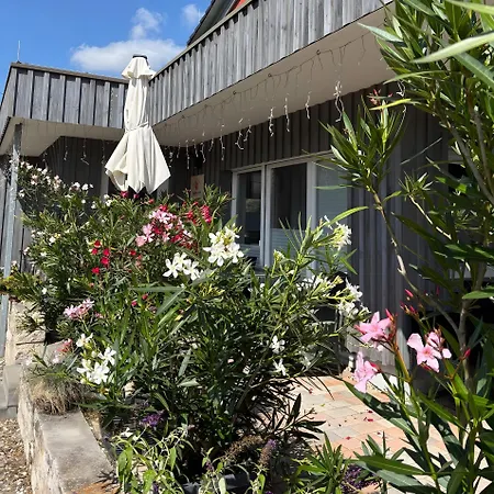 Oleander * دريسدن