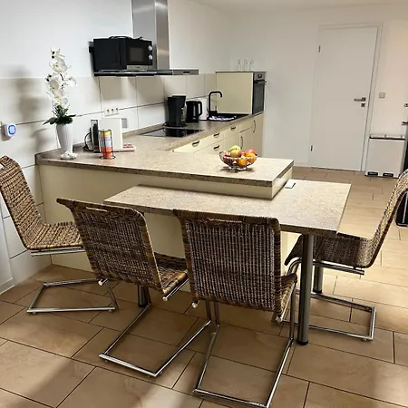 Oleander 德累斯顿