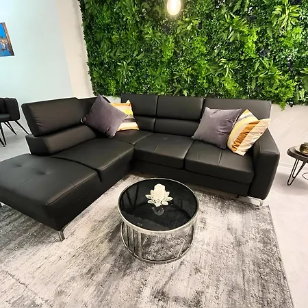 Oleander * 德累斯顿