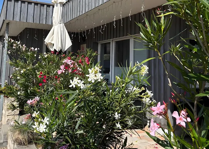 Oleander * Dresden