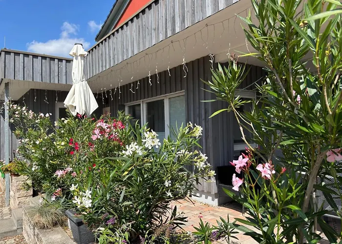 Oleander Daire *